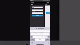 1. Introduction To MobiAudit