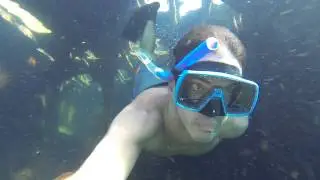 Snorkeling a wreck in Port-Cros