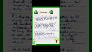 Essay on 