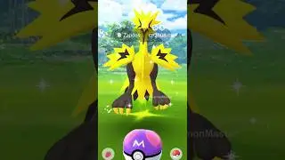 using Master Ball for Shiny Galarian Bird ✨ in Pok&eacute;mon GO (Edit)