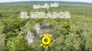 El Mirador Guatemala Helicopter Tour - El Mirador By Helicopter, Check It Out!