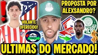 EITA! JOGADOR DO ATLÉTICO DE MADRID OFERECIDO AO PALMEIRAS! VERDÃO FARÁ PROPOSTA POR ALEXSANDRO? E+