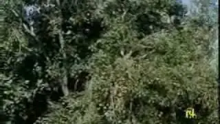 Kuka Movement Part 01