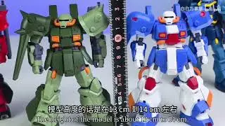 AK model HG Hi-Zack (A.O.Z Reboot Version)