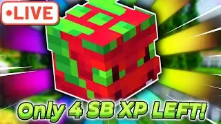 🔴 Bingo Grinding! 🔴 Hypixel SkyBlock LIVE Shorts