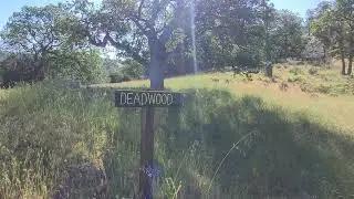 YELLOW JACKET POINT, LIVERMORE