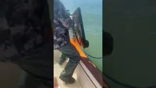 Gone Shrimping!