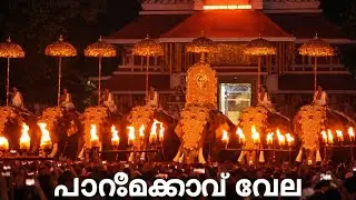 കൊമ്പന്മാരുടെ ആ വരവ് കണ്ടോ???|paramekkavu vela💥💥
