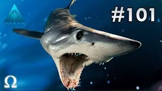 FACING HIS GREATEST FEAR! | Depth Divers vs Sharks #101 Multiplayer Shark Rounds!