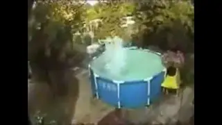 Bam Margera-Pure Insanity