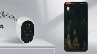 Birdty APP Network Operation Tutorial