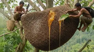 HONEY HARVEST SEASON 2026 &ndash; The moment the fire blazes and the bees soar into the sky | Wild Honey