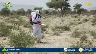 Somalia Joins UN FAO's Desert Locust Control Commission, Bolstering Regional Efforts