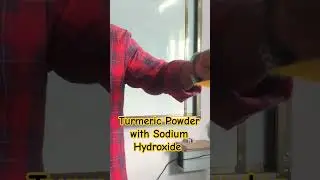 Turmeric powder with Sodium Hydroxide reaction || Indicator #experiment #science
