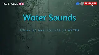 Relaxing Raw Water Sounds | Nature&rsquo;s Therapy for the Soul 🌿💧