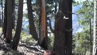 Icehouse Canyon Saddle