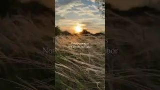 Romans 8 #prayer #renewal #faith #spirituality #courage #bible #spokenword