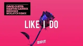 David Guetta, Martin Garrix & Brooks - Like I Do (Moilatch Remix)