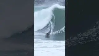 Just Let the Riding Do the Talking. #thewedge
