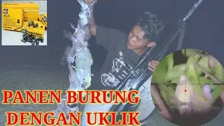 BERBURU PUNAI DAN TEKUKUR malam hari(night hunting)uklik full upgrade