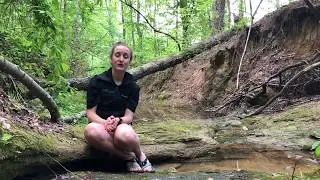 Episode 3: Conservation Initiatives for Freshwater Mussels