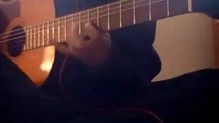 Improvising with Boss Slicer (Crummy Quality)