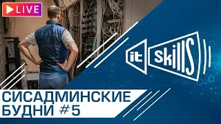 🤷&zwj;♂&zwj; Будни сисадмина #5 | IT-Skills Chat #itskills #сисадмин