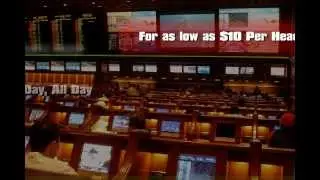 Price per Head USA - The #1 Sportsbook Software and PPH Betting Call Center Solutions Provider