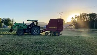 How We Turn Round Alfalfa Bales Into Silage 