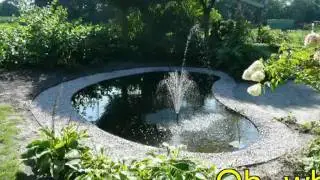 Nemo's new dream pond