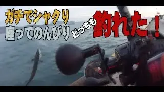 ガチしゃくり（サゴシ）＆座ってのんびり（ヒラメ）・・どっちも釣れたｗ