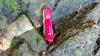 Victorinox Ranger 91mm et test bâton de marche! En balade sous bois 🌲🌿🤟🖤🤍🏴‍☠️🐗