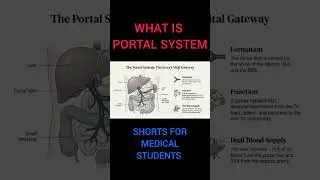 WHAT IS PORTAL SYSTEM#portalhypertension #medicallecture #viral_video #medicaleducation