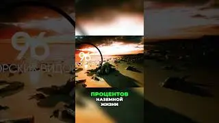 Массовое вымирание в Пермском периоде  причины и последствия