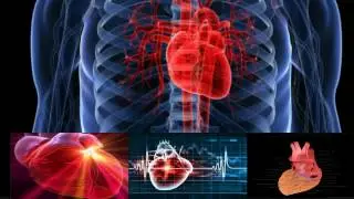 شاهذوا حديث نبي (ص) ألا وإن في الجسد مضغة وشرحه الرائع في طب التشريحي للقلب | Medicine of the heart