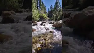 Robinson Creek #shorts