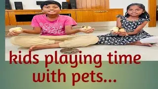 Kids playtime with pets....#chicks#tortoise#funny#shortvideo 