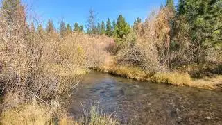 This is a video of salmon spawning 228 mi up the Klamath River from the ocean.