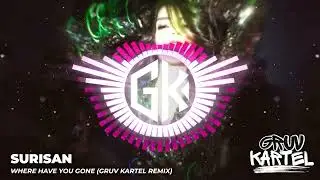 Where Have You Gone (Gruv Kartel 2K25 ReWork)