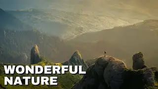 Wonderful Nature
