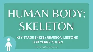 The Human Skeleton: Main function and why we need one - Biology Revision (Years 7, 8 & 9)