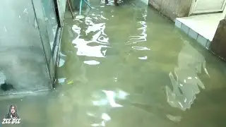 YA ALLAH BANJIR LAGI😭‼️ TAIWAN MUSIM HUJAN⁉️