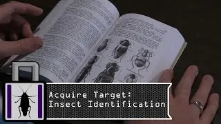 IL 1.2 Acquire Target: Insect Identification Tools