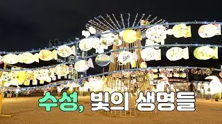 [수성영상뉴스] 제7회 수성 빛 예술제