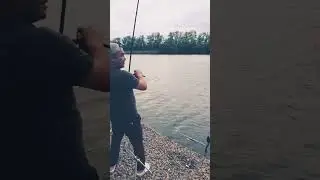 Вываживание #carpfishing #поймалотпусти #carp #zb #золотойберег #карпфишинг #карповаяловля