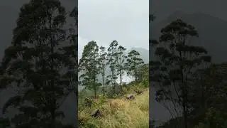 Mountain road #nature #srilanka #travel #hiking #mountains #relaxing #rain #chill #place