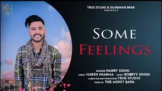SOME FEELINGS  HARRY SIDHU TURE STUDIO  NEW PUNJABI SONG 2020