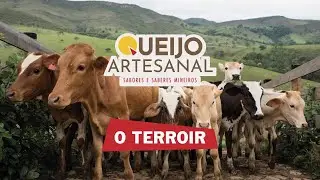 QUEIJO ARTESANAL - O TERROIR