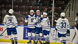 Are The Mississauga Steelheads Relocating to Brampton?