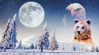 Full Snow Moon Ambience for Sleep, Relaxation or Focus with Nature and Wind Sounds - 8 Hours